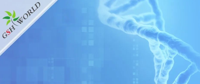 烟酰胺和nmn区别？烟酰胺单核苷酸(NMN) 的化合物