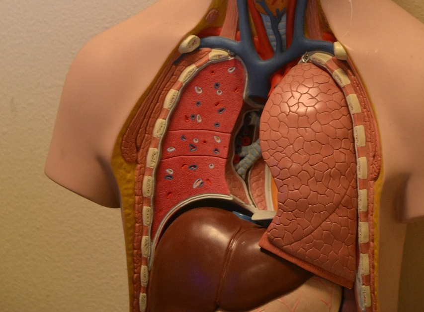 优米娱乐有限公司官网首页下载