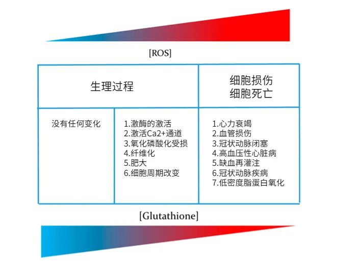 优米娱乐有限公司官网首页下载