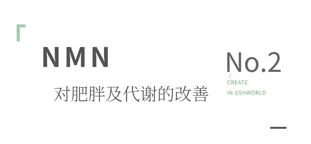 优米娱乐有限公司官网首页下载