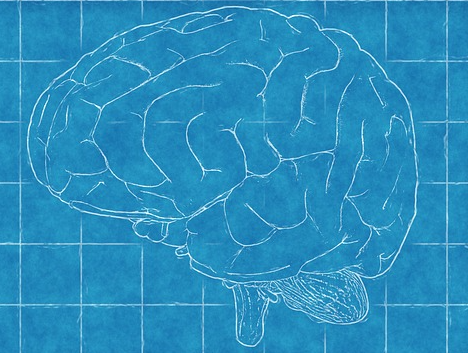 优米娱乐有限公司官网首页下载 优米娱乐有限公司官网首页下载