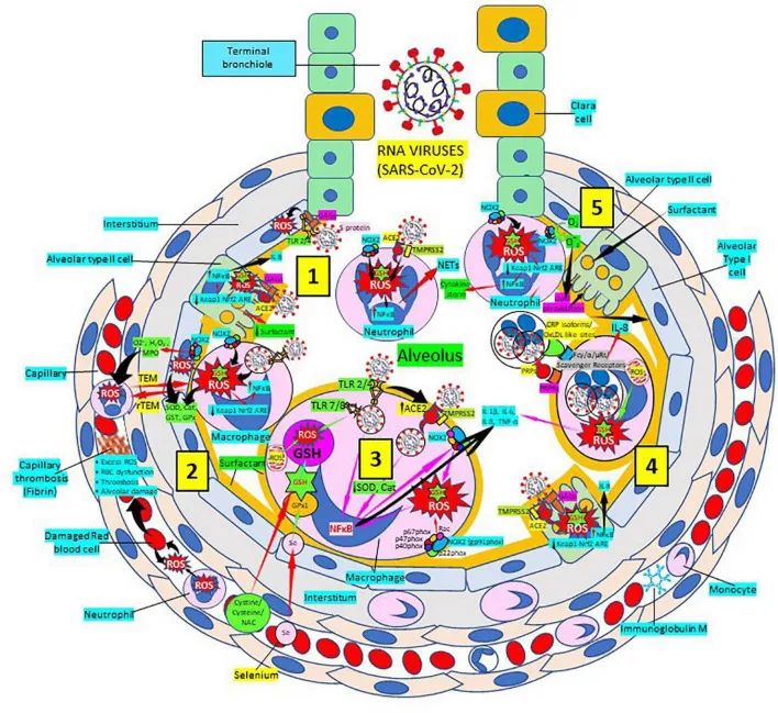 优米娱乐有限公司官网首页下载 优米娱乐有限公司官网首页下载