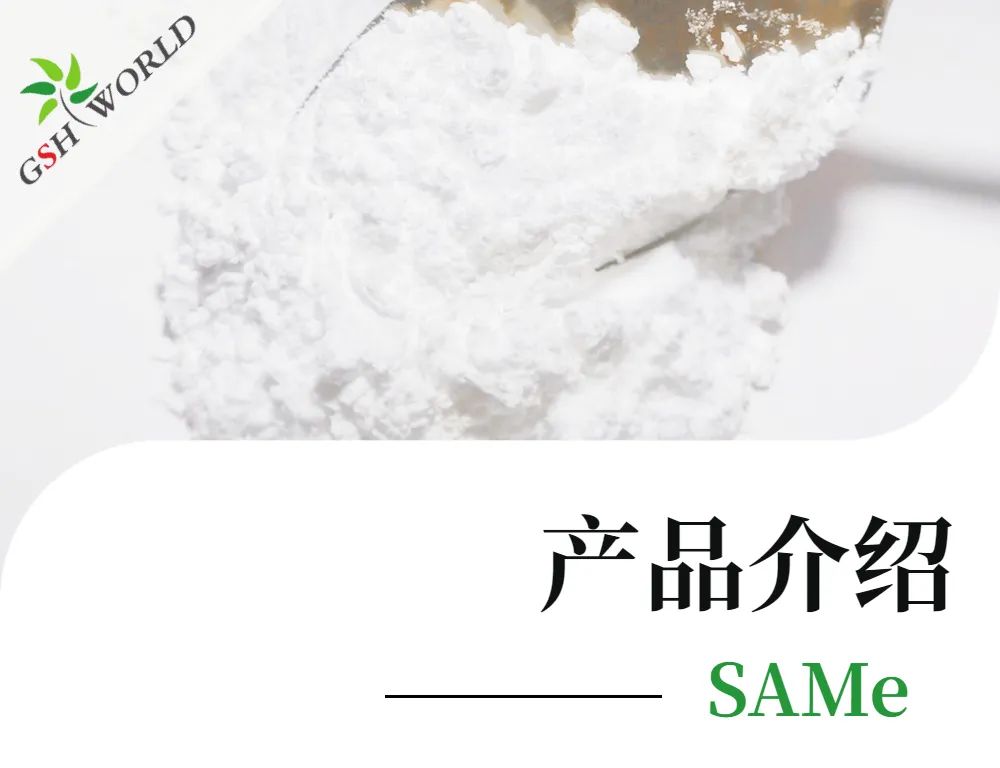 优米娱乐有限公司官网首页下载 优米娱乐有限公司官网首页下载