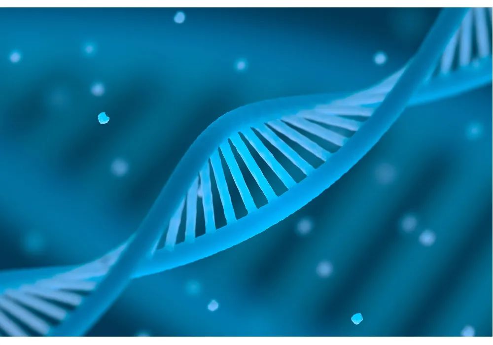 优米娱乐有限公司官网首页下载 优米娱乐有限公司官网首页下载