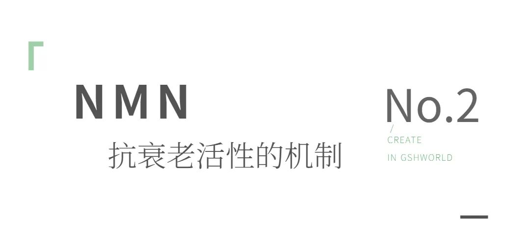 优米娱乐有限公司官网首页下载