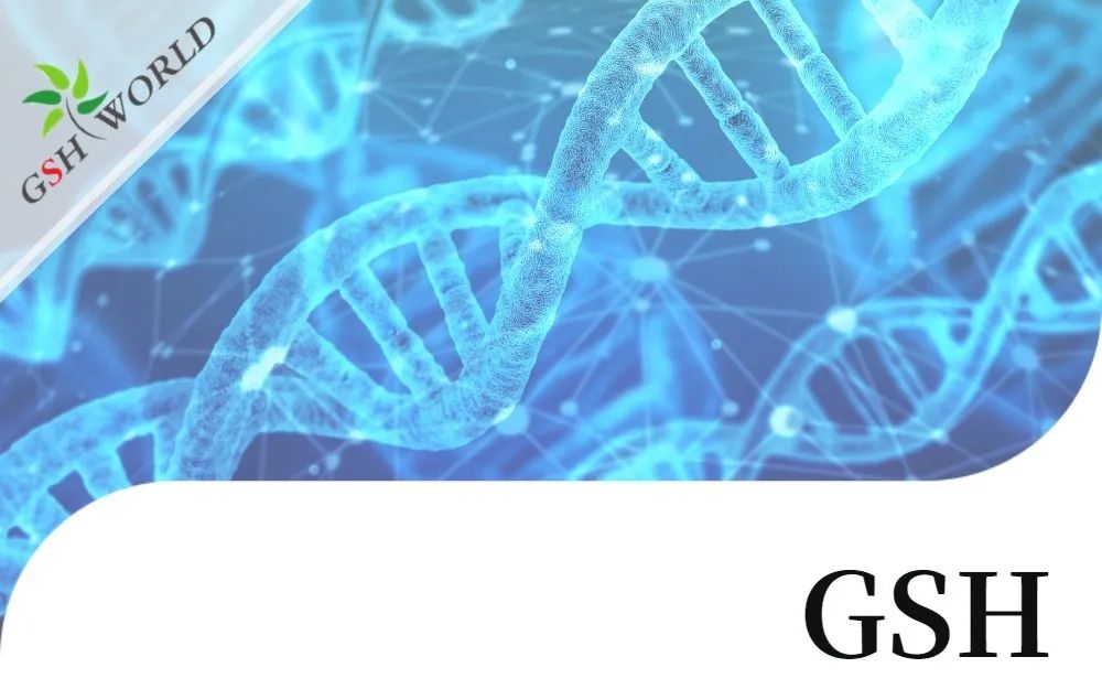 优米娱乐有限公司官网首页下载