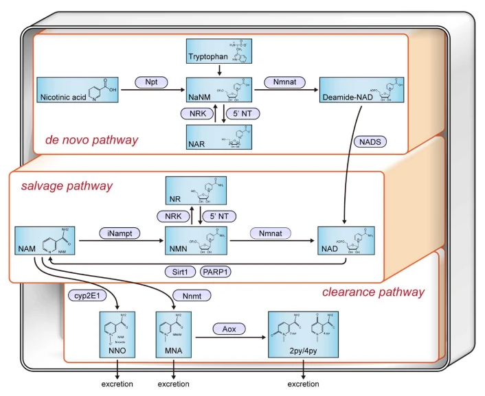 优米娱乐有限公司官网首页下载 优米娱乐有限公司官网首页下载
