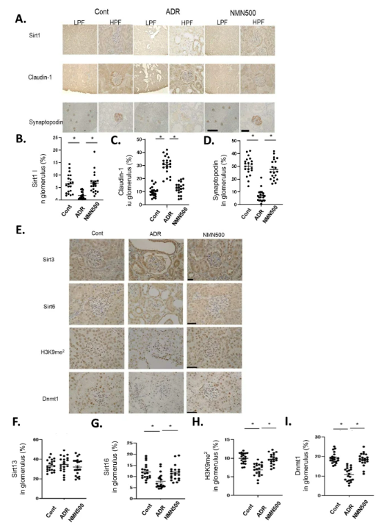 优米娱乐有限公司官网首页下载 优米娱乐有限公司官网首页下载
