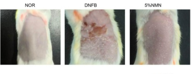 优米娱乐有限公司官网首页下载 优米娱乐有限公司官网首页下载