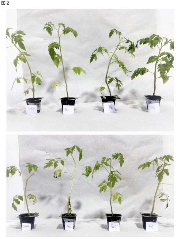 优米娱乐有限公司官网首页下载 优米娱乐有限公司官网首页下载