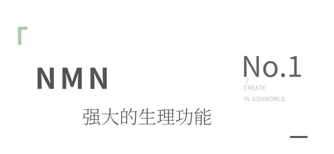 优米娱乐有限公司官网首页下载