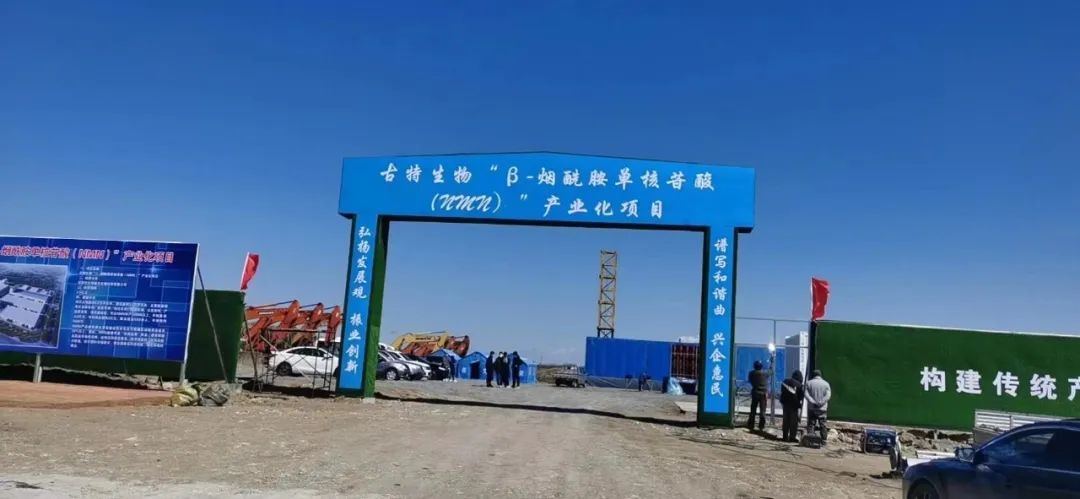 优米娱乐有限公司官网首页下载