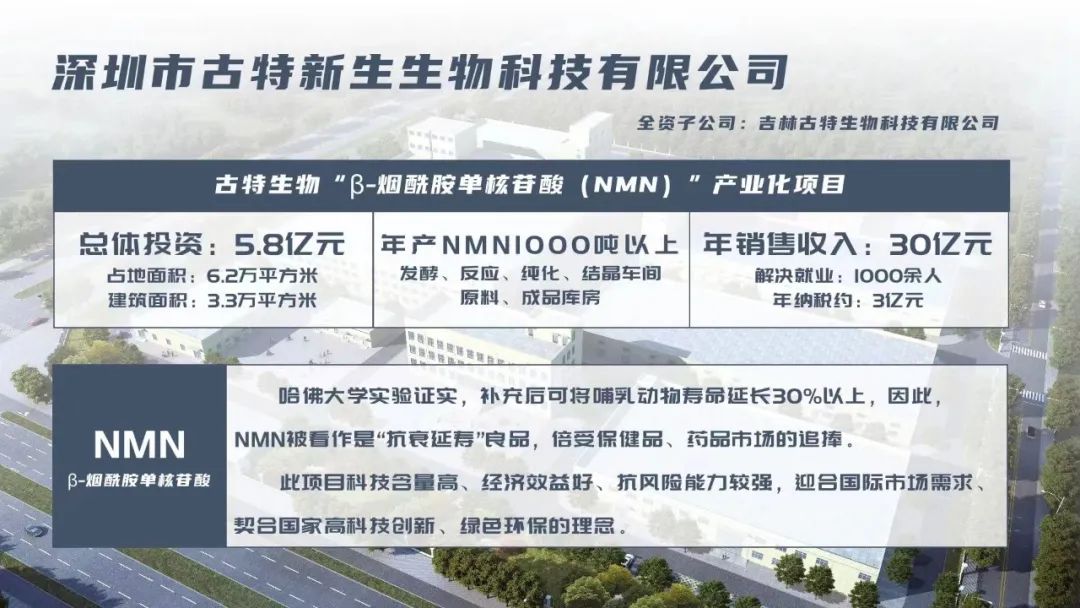 优米娱乐有限公司官网首页下载