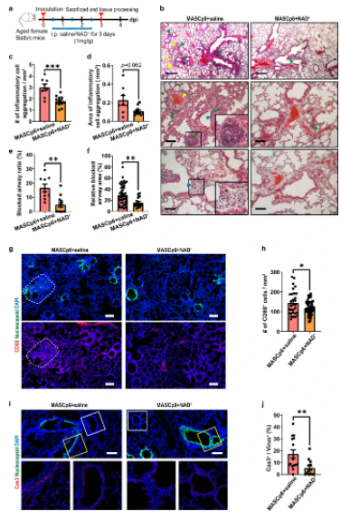 优米娱乐有限公司官网首页下载