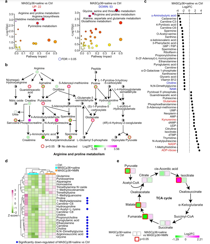 优米娱乐有限公司官网首页下载