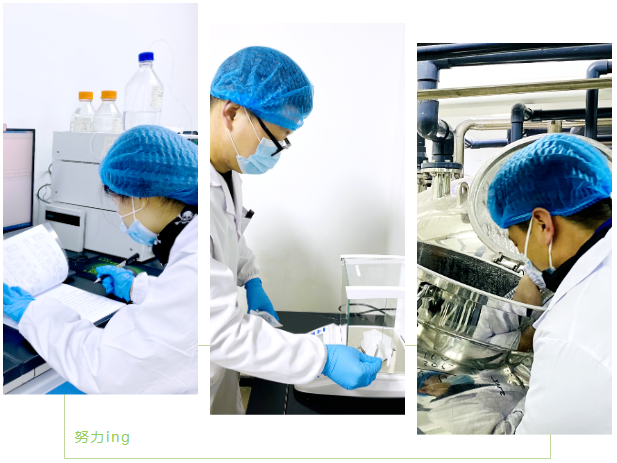 优米娱乐有限公司官网首页下载