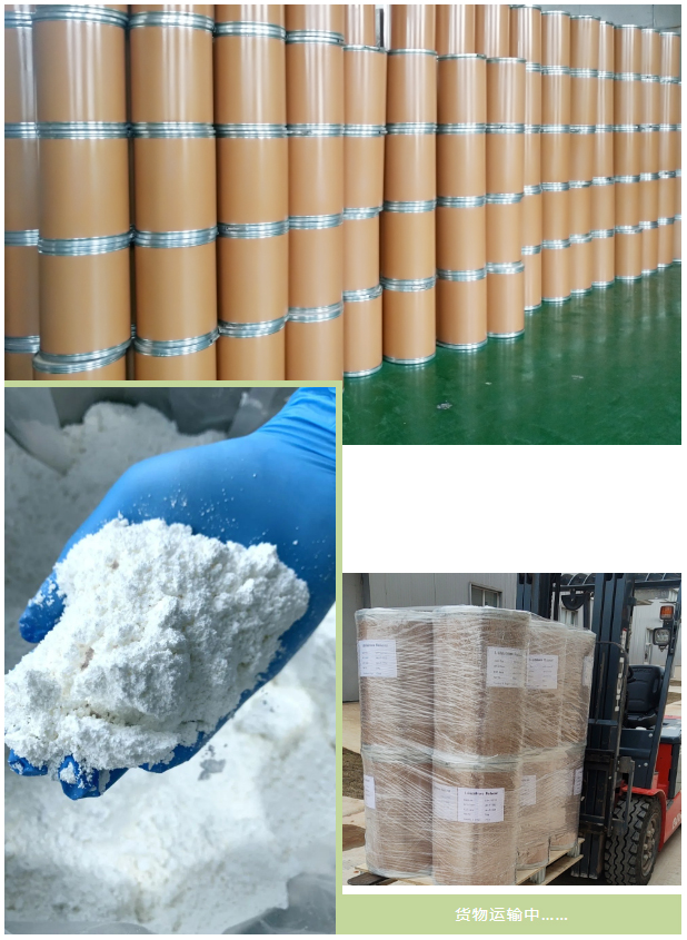 优米娱乐有限公司官网首页下载