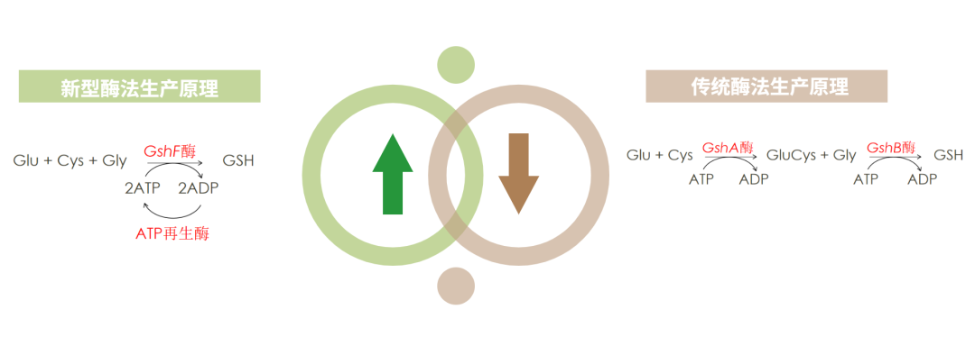 优米娱乐有限公司官网首页下载 优米娱乐有限公司官网首页下载