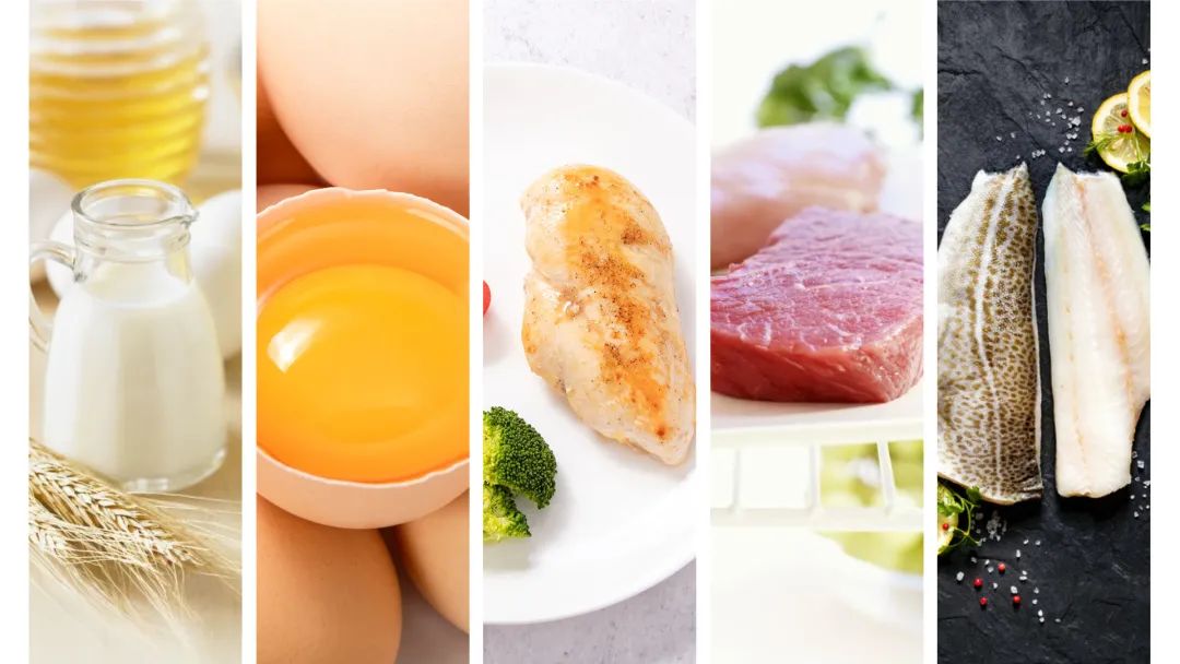 优米娱乐有限公司官网首页下载 优米娱乐有限公司官网首页下载