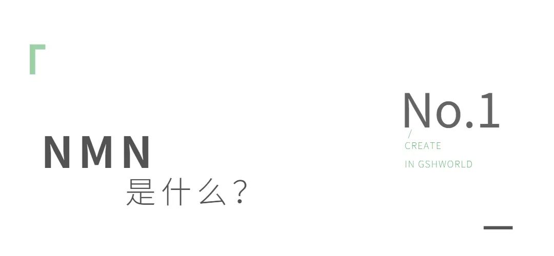 优米娱乐有限公司官网首页下载