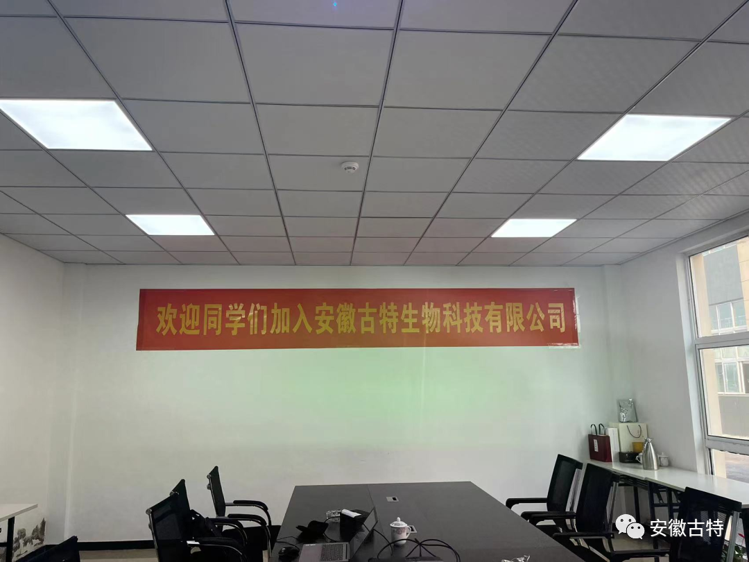 优米娱乐有限公司官网首页下载