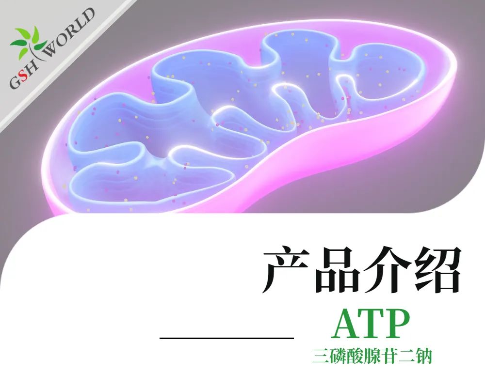三磷酸腺苷二钠：生命能量的化学密码