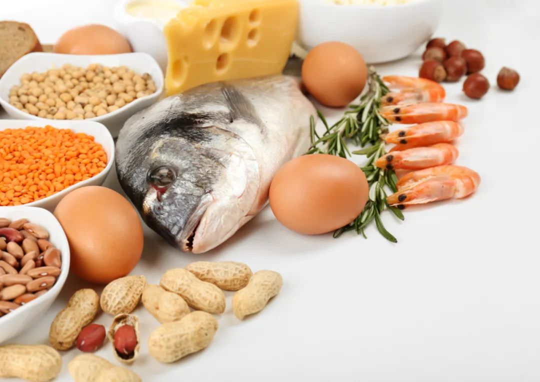 优米娱乐有限公司官网首页下载 优米娱乐有限公司官网首页下载