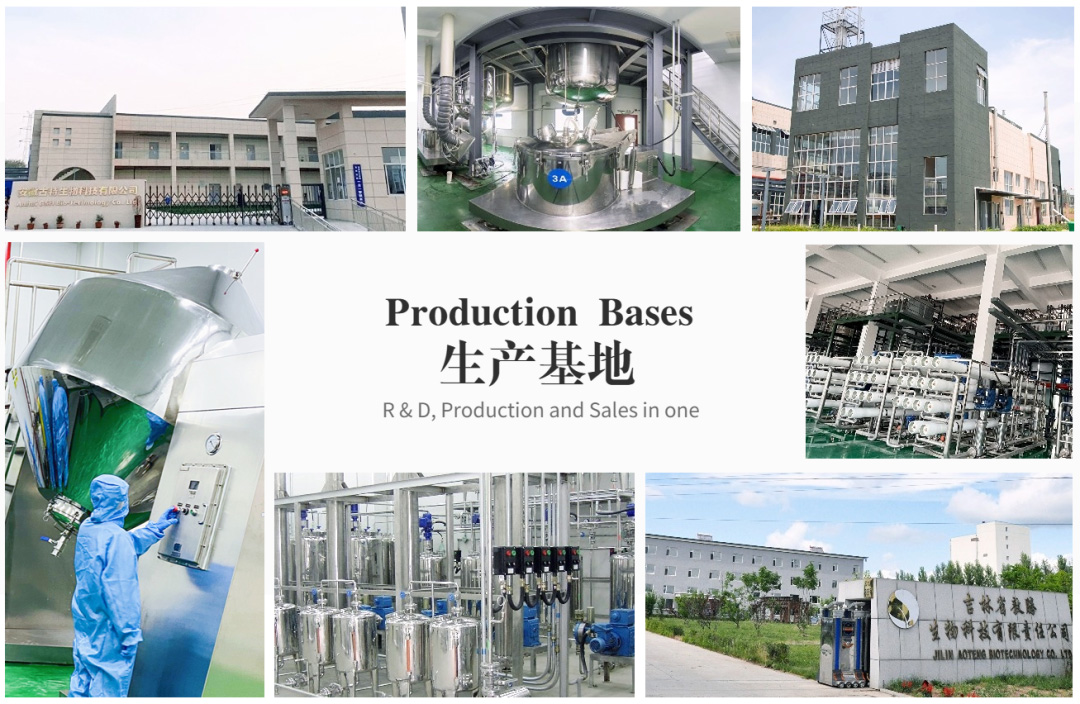 生产基地 生产基地