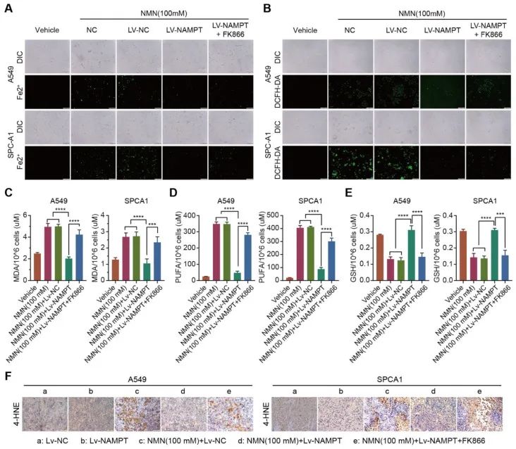优米娱乐有限公司官网首页下载 优米娱乐有限公司官网首页下载