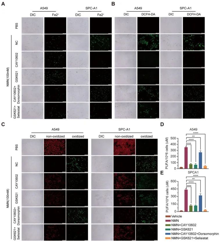 优米娱乐有限公司官网首页下载 优米娱乐有限公司官网首页下载