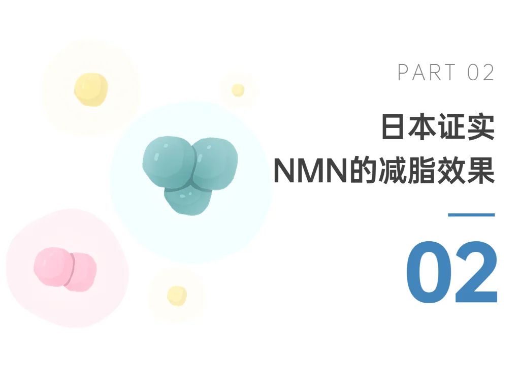 优米娱乐有限公司官网首页下载 优米娱乐有限公司官网首页下载