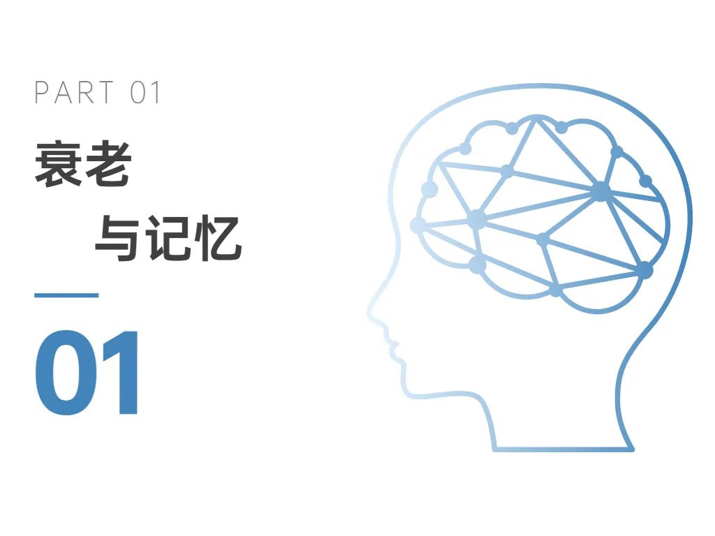 01衰老与记忆 01衰老与记忆