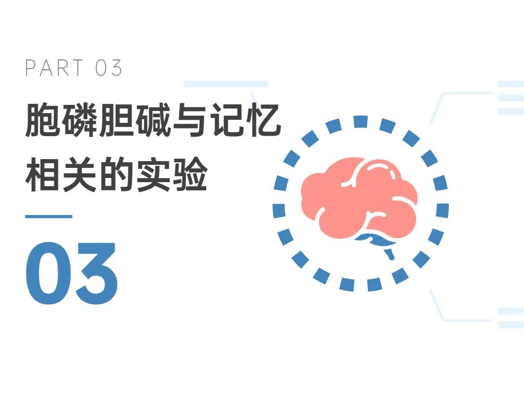 03胞磷胆碱与记忆相关的实验 03胞磷胆碱与记忆相关的实验