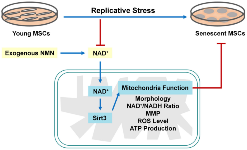 优米娱乐有限公司官网首页下载 优米娱乐有限公司官网首页下载