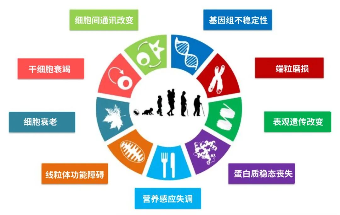 优米娱乐有限公司官网首页下载 图片