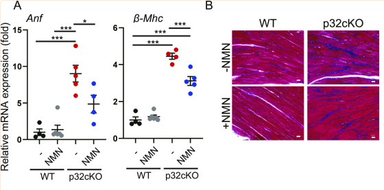 优米娱乐有限公司官网首页下载
