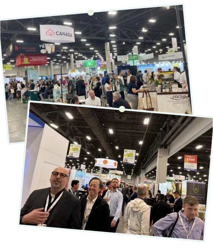 优米娱乐有限公司官网首页下载