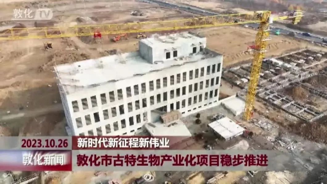 敦化市优米娱乐有限公司官网首页下载产业化项目稳步推进