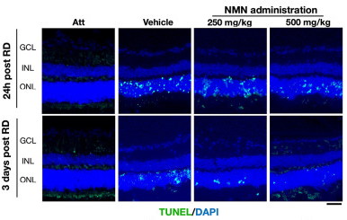 优米娱乐有限公司官网首页下载 优米娱乐有限公司官网首页下载