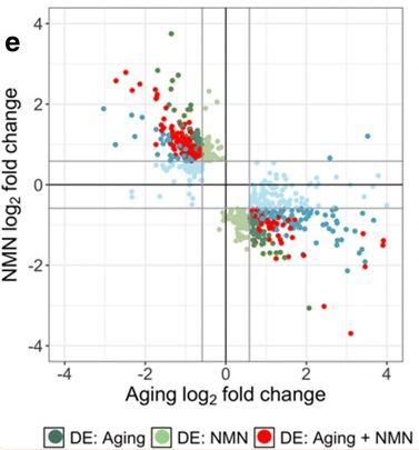 优米娱乐有限公司官网首页下载 优米娱乐有限公司官网首页下载