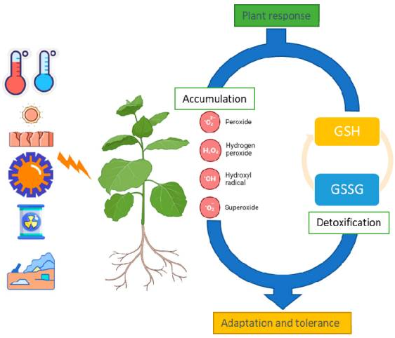 优米娱乐有限公司官网首页下载 优米娱乐有限公司官网首页下载