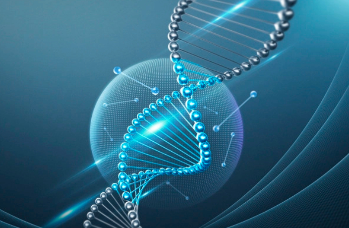 优米娱乐有限公司官网首页下载