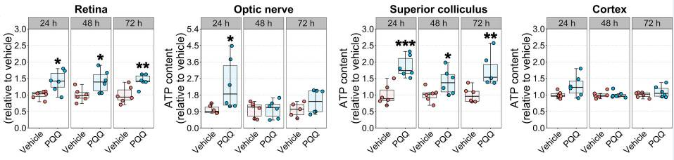 优米娱乐有限公司官网首页下载 优米娱乐有限公司官网首页下载