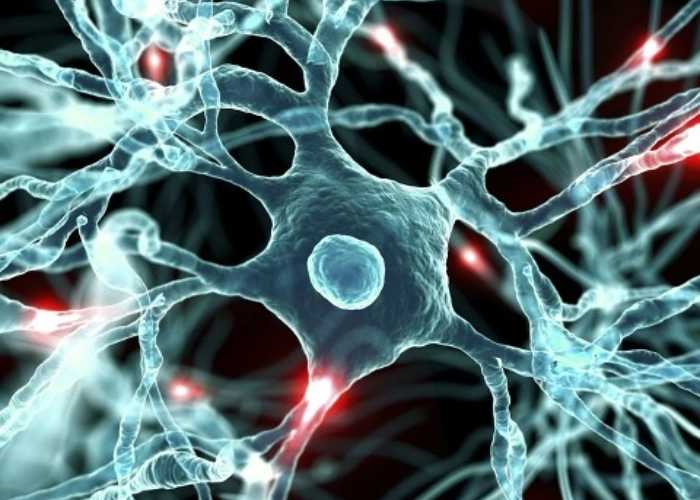 优米娱乐有限公司官网首页下载 优米娱乐有限公司官网首页下载