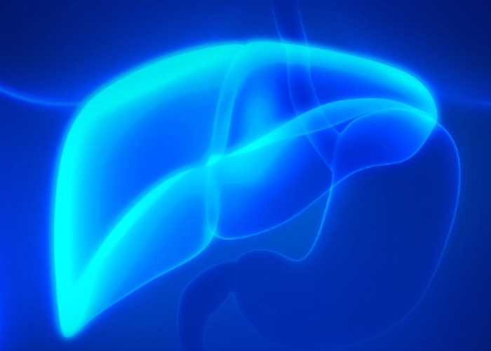 优米娱乐有限公司官网首页下载