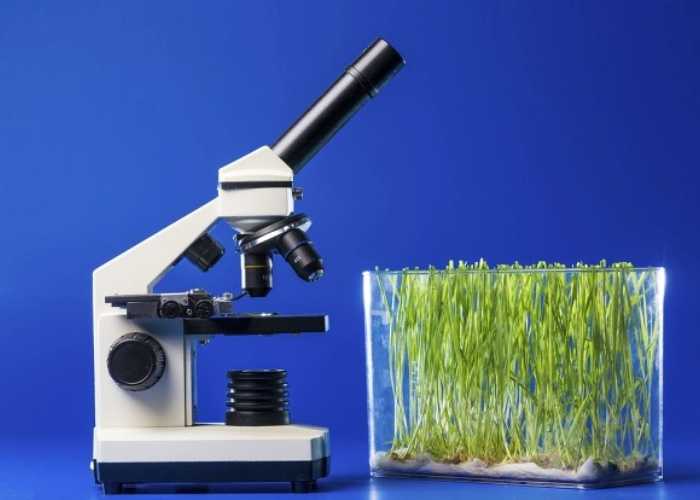 优米娱乐有限公司官网首页下载 优米娱乐有限公司官网首页下载