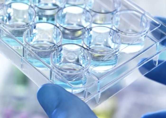 优米娱乐有限公司官网首页下载