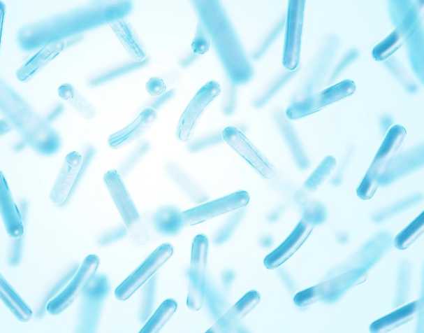 优米娱乐有限公司官网首页下载 NMN调节肠道菌群