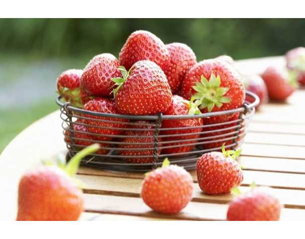 在维持果实营养品质方面,谷胱甘肽表现突出 在维持果实营养品质方面,谷胱甘肽表现突出