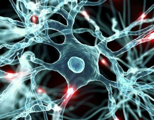 优米娱乐有限公司官网首页下载 胞磷胆碱对大脑健康的显著益处